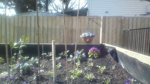 https://school.us16.list-manage.com/track/click?u=e8a3353a6e5b336d01c7b9e29&id=e6d4b038b0&e=bd611e889e Garden